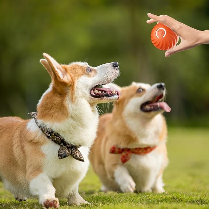 Dynamic Chase Dog Toy with Smart Navigation and Rechargeable Battery