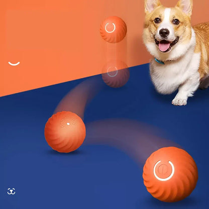 Interactive Rolling Sphere for Pets and Stress Relief