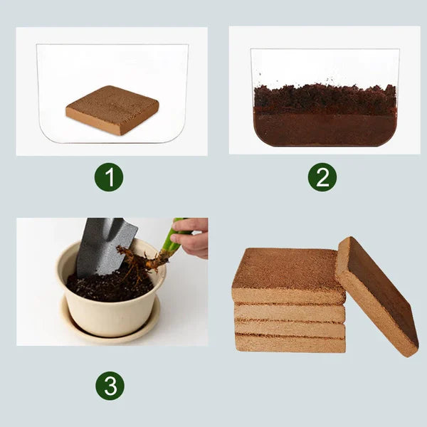 Eco-Friendly Coconut Fiber Block for Effortless Planting