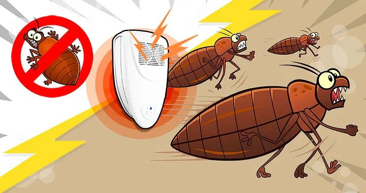 Chemical-Free Ultrasonic Pest Repellent with 215 Sq Ft Range