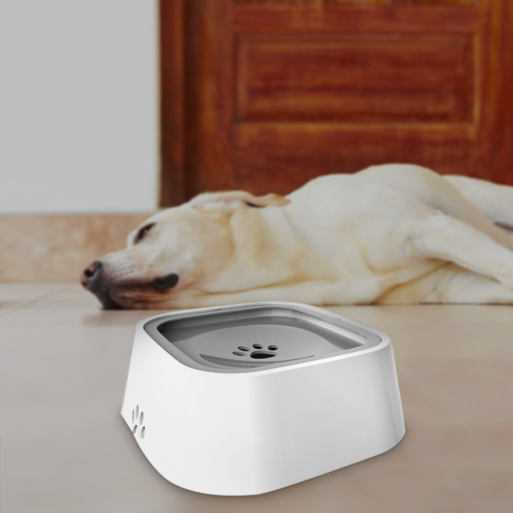 Pet Hydration Station with Splash-Proof Design, 1.5 Liter