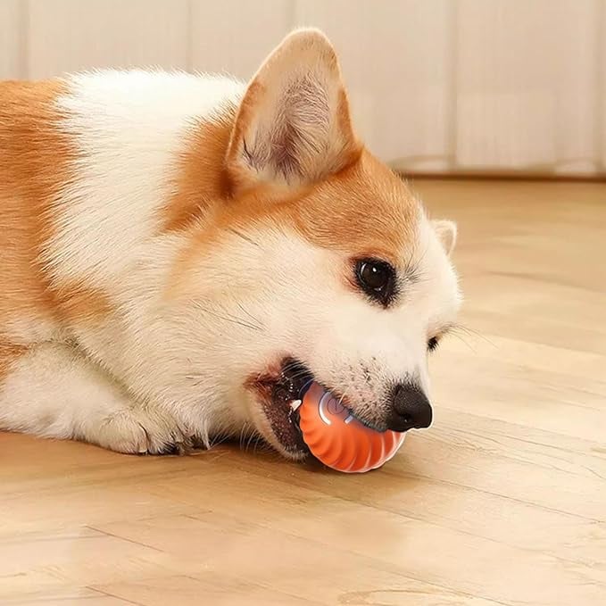 Dynamic Chase Dog Toy with Smart Navigation and Rechargeable Battery