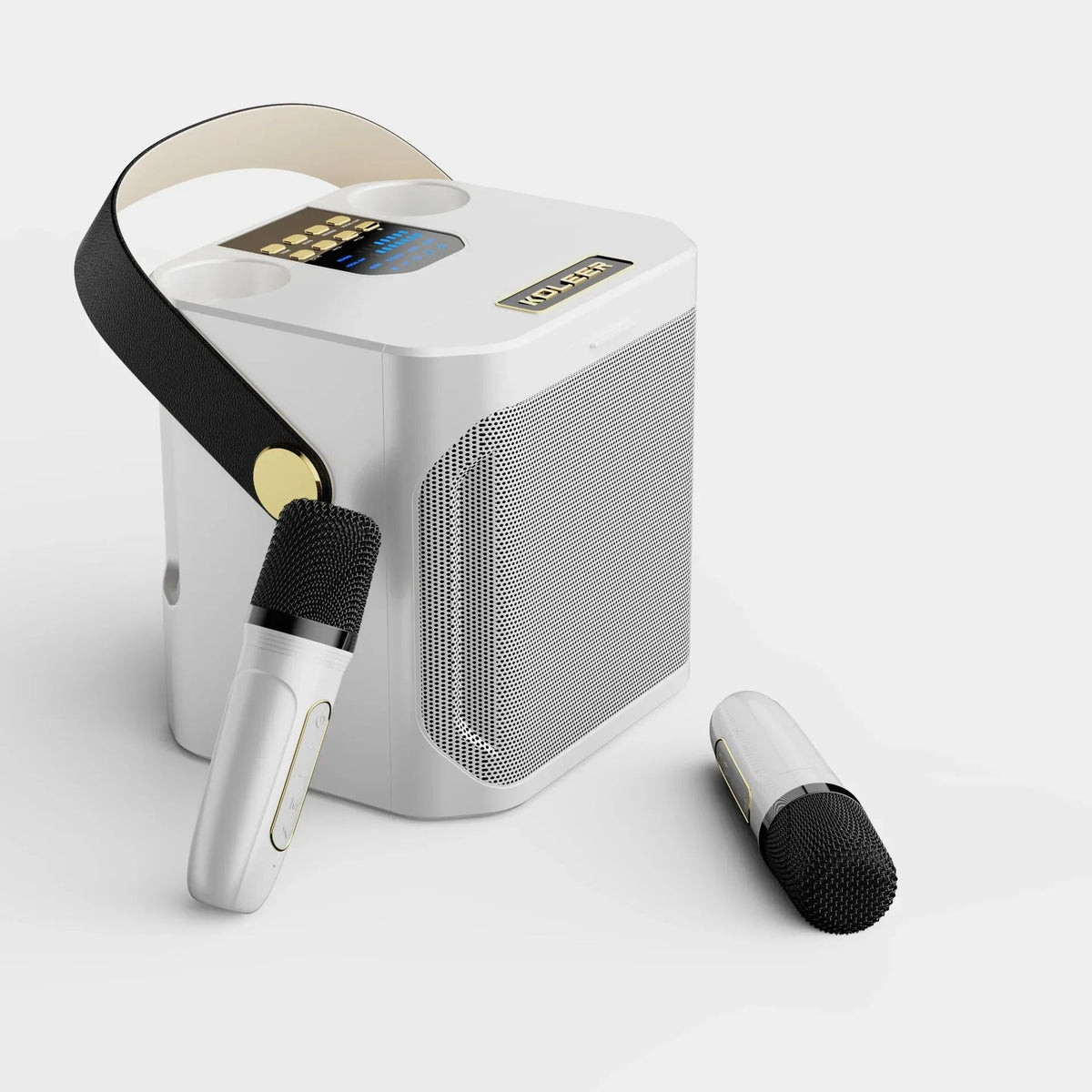 All-In-One Karaoke Speaker with Dual Mic Inputs & 360° Sound