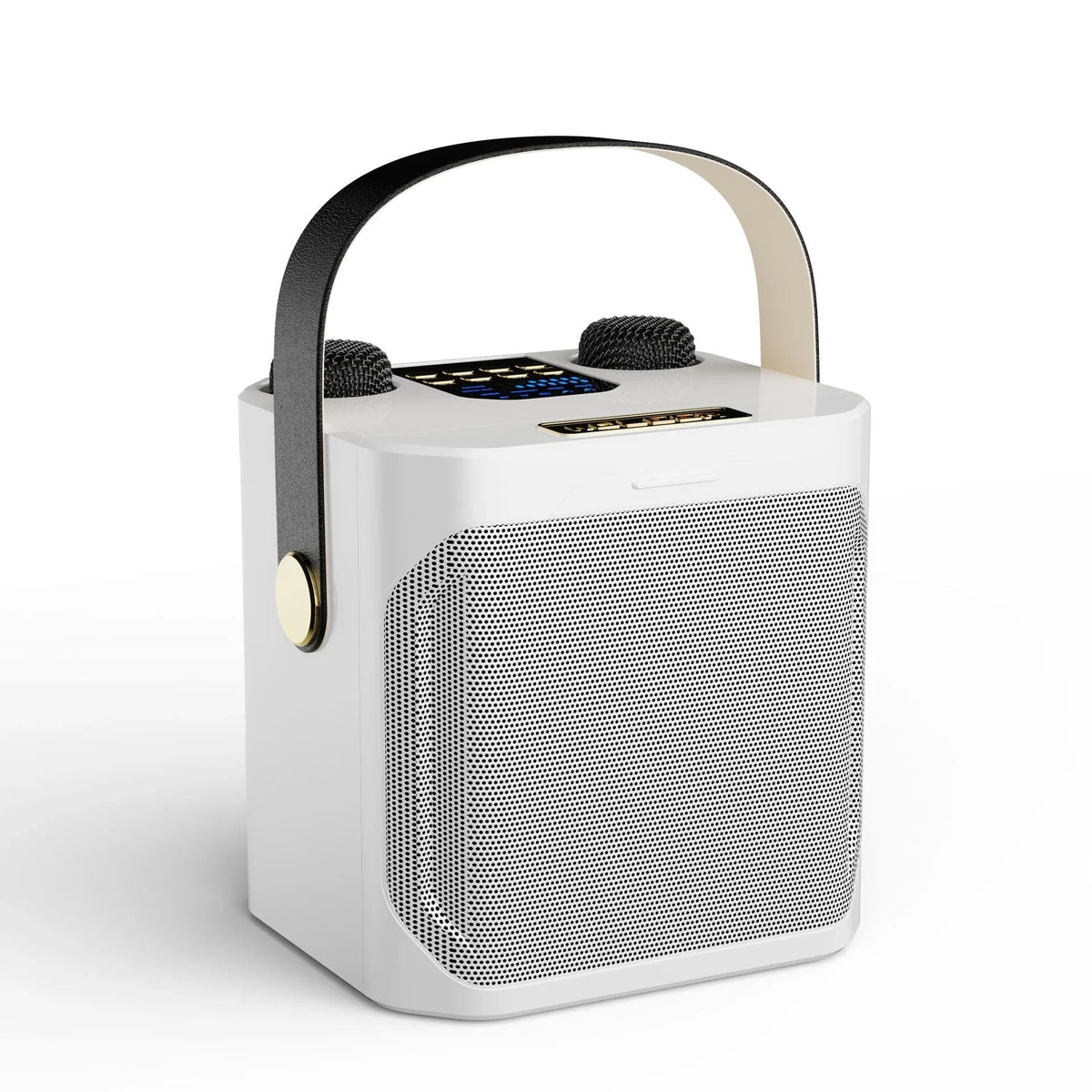 All-In-One Karaoke Speaker with Dual Mic Inputs & 360° Sound