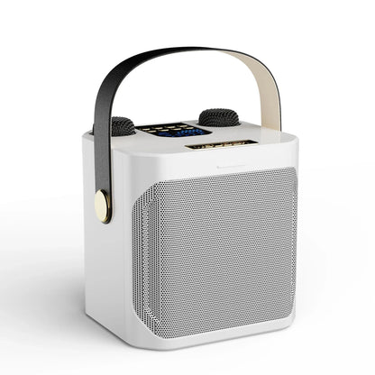 All-In-One Karaoke Speaker with Dual Mic Inputs & 360° Sound