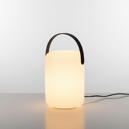 Outdoor LED Light with 16 Color Choices and Brightness Control – Waterproof