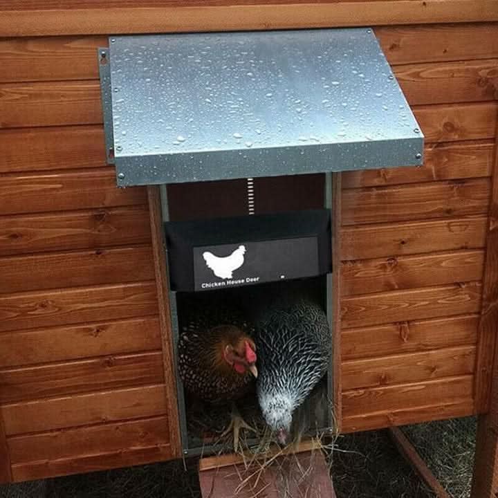 Light-Sensing Weather-Resistant Chicken Coop Door for Convenient Entry