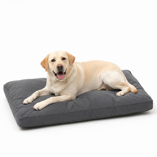 42 Inch Tough & Comfy Dog Bed for Heavy Chewers