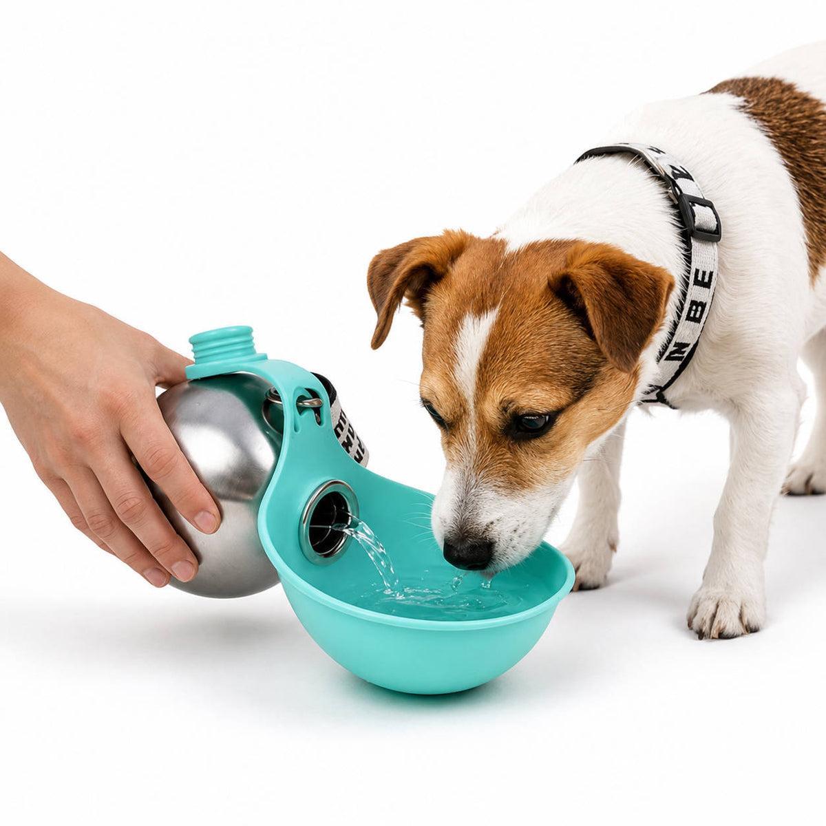 All-in-One Travel Dog Hydration Solution - 10 oz Stainless Steel Bottle with Collapsible Bowl