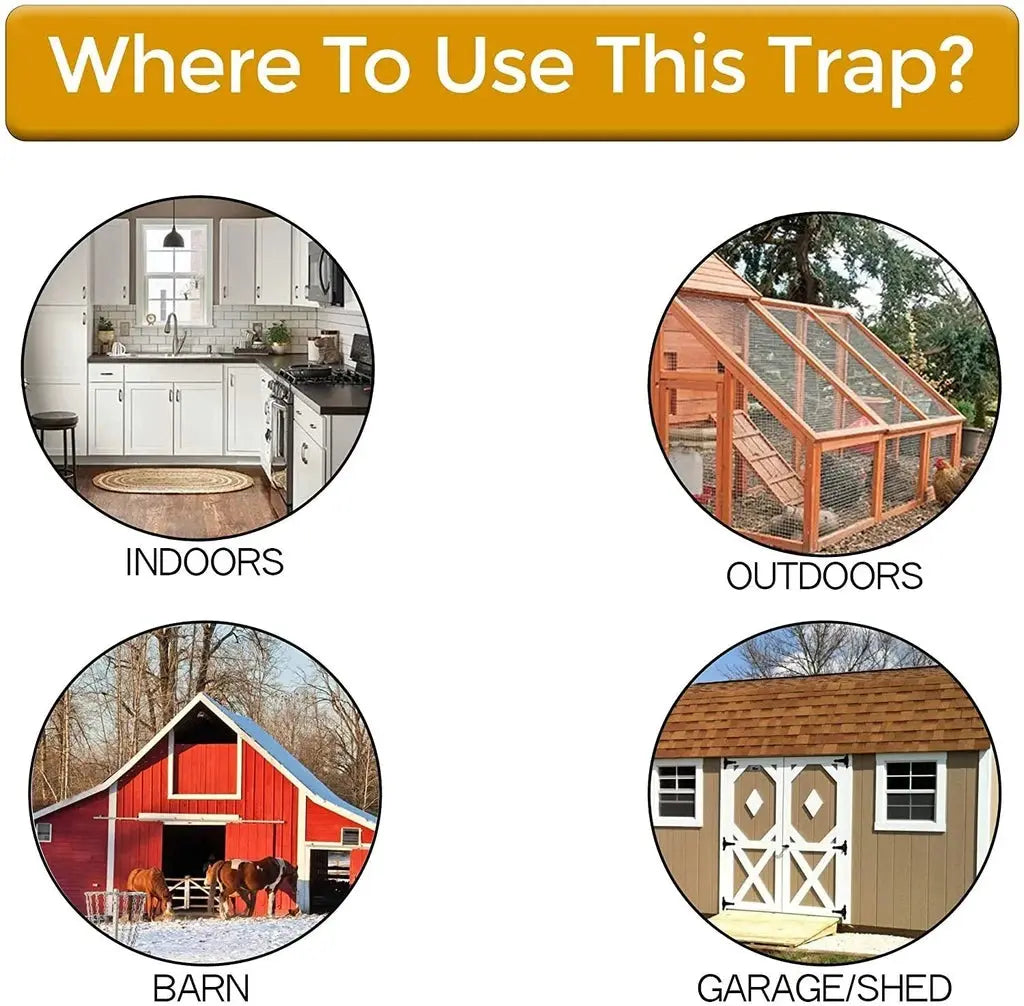 Safe Rodent Control Mouse Trap with Non-Toxic Design for Home Use