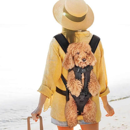 Pet Carrier Cockpit for Dogs and Cats – Waterproof and Breathable