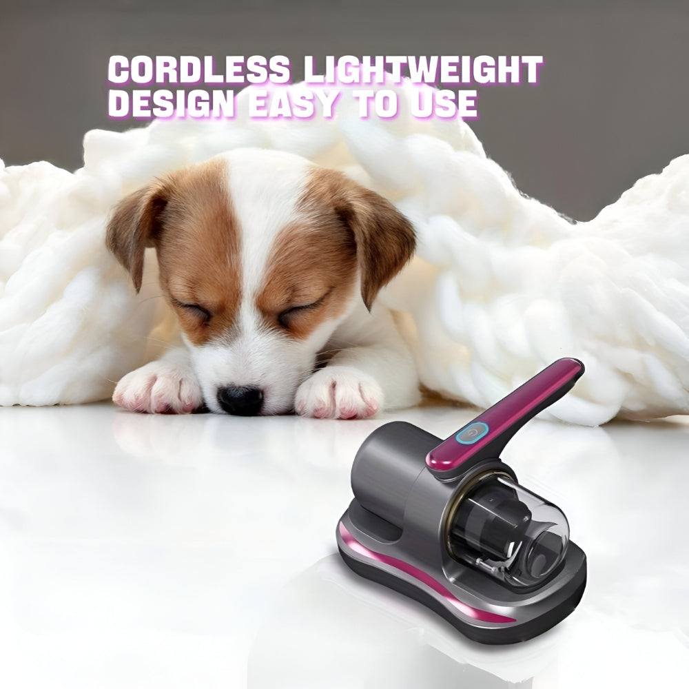 Portable and Compact Handheld Vacuum for Quick Cleaning