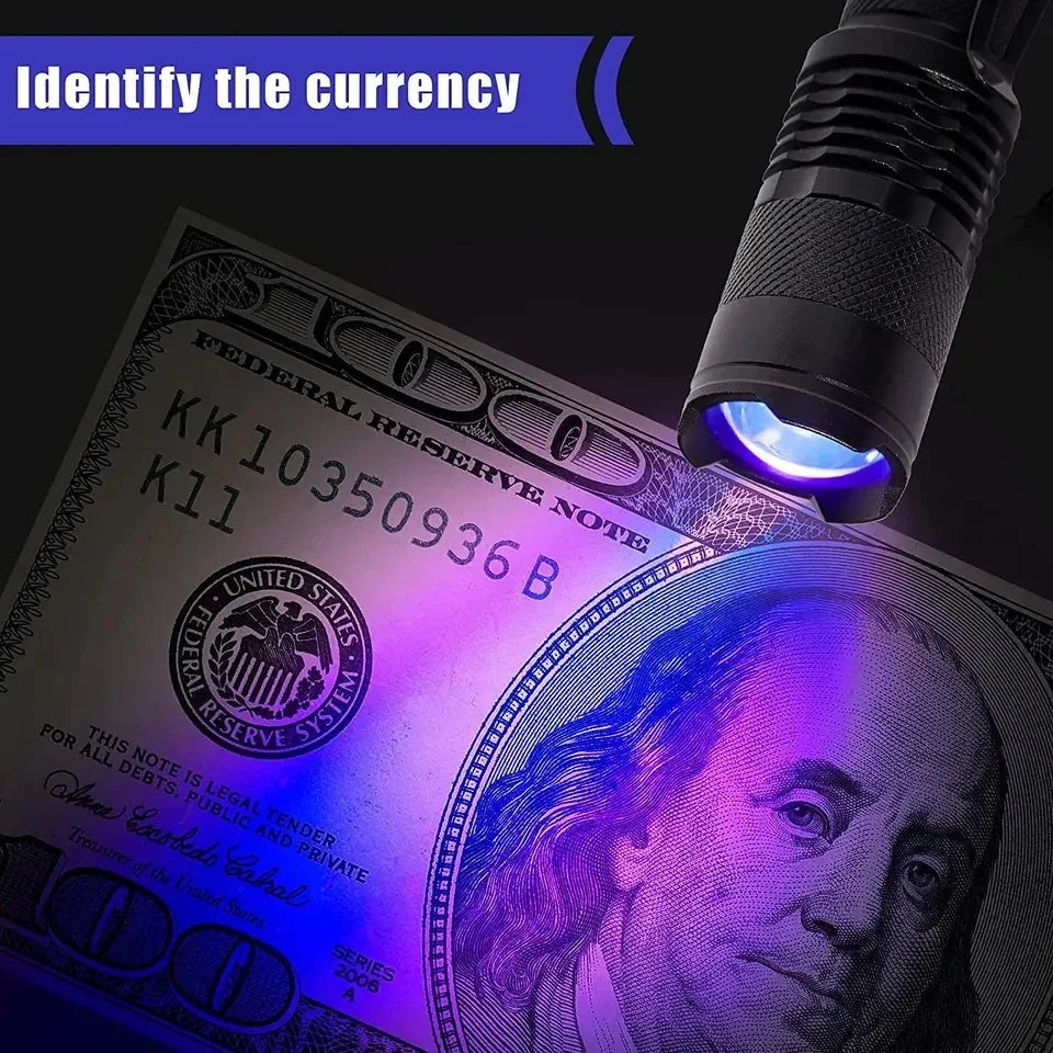 Compact UV Flashlight for Stain Detection | Portable LED Work Light