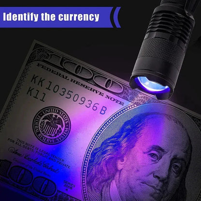 Compact UV Flashlight for Stain Detection | Portable LED Work Light