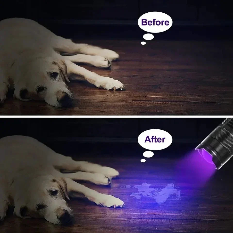 Compact UV Flashlight for Stain Detection | Portable LED Work Light