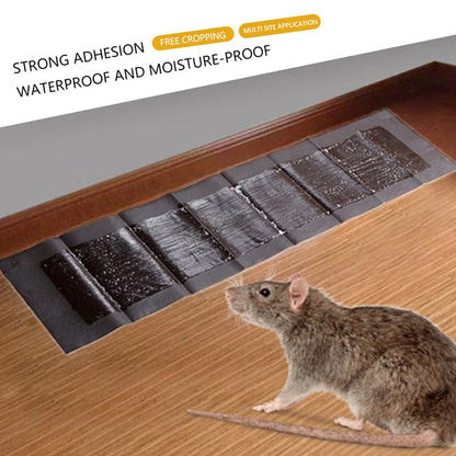 Oversized Rodent Capture Pads with Safe Adhesive – Set of 5