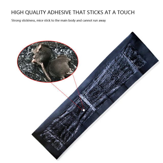 Oversized Rodent Capture Pads with Safe Adhesive – Set of 5