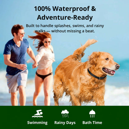 Waterproof Dog Training Collar - 1000m Range with Adjustable Settings for All Sizes
