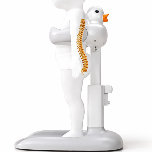 Adjustable and Detachable Support for Baby Showers