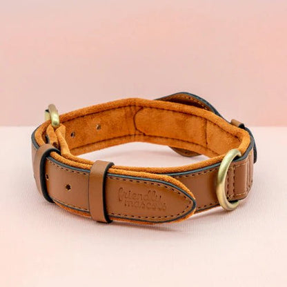 Eco-Friendly Dog Collar with Holder for AirTag Tracking