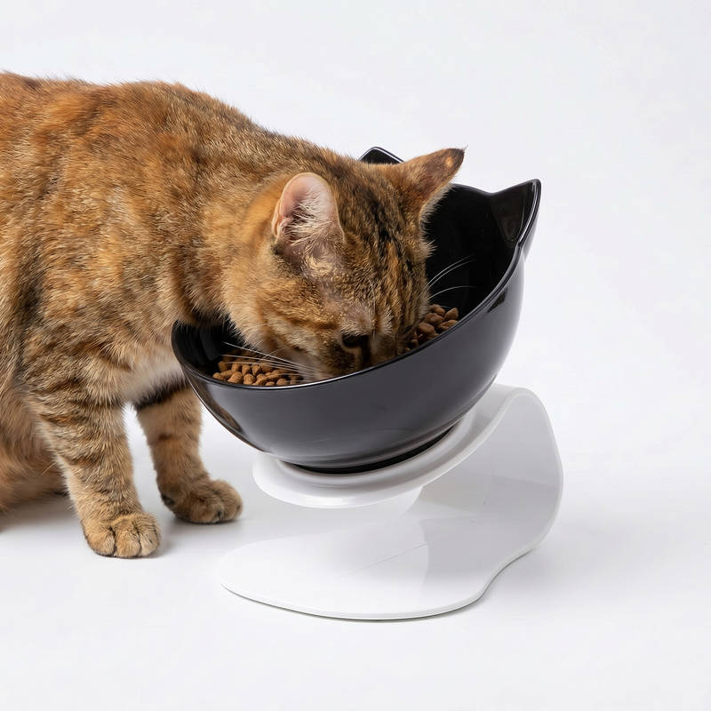 Elevated Cat Feeder for Comfortable Eating and Reduced Vomiting