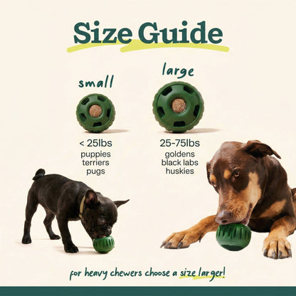 Interactive Treat Dispenser Ball for Engaged Playtime