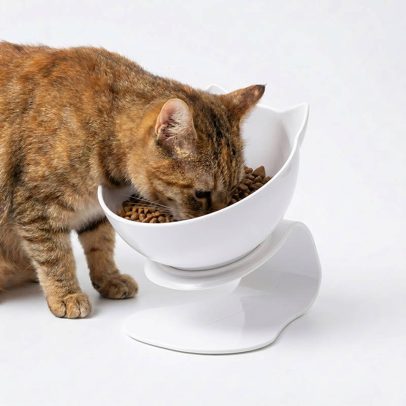 Elevated Cat Feeder for Comfortable Eating and Reduced Vomiting