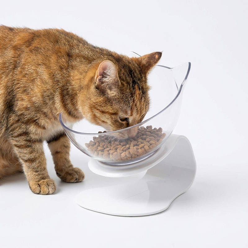 Elevated Cat Feeder for Comfortable Eating and Reduced Vomiting