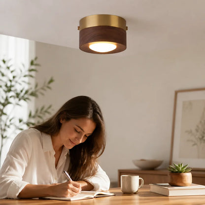 Ceiling Lamp Walnut Wood Integrated LED Energy-Efficient