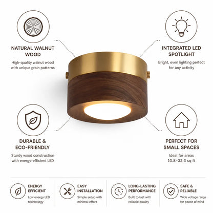 Ceiling Lamp Walnut Wood Integrated LED Energy-Efficient