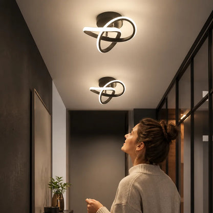 Integrated LED Flush Mount Metal Frame Ceiling Light