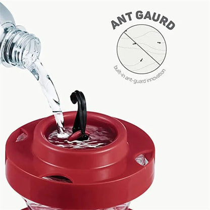 Colorful Hummingbird Nectar Station with Ant Barrier