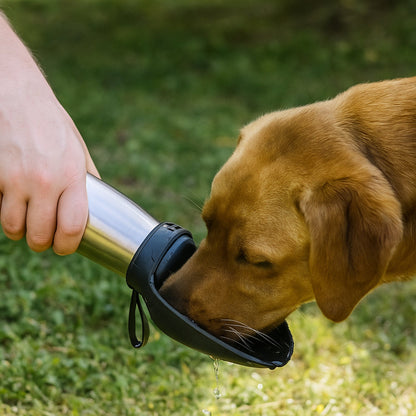 Insulated Stainless Steel Water Bottle for Dogs - Portable Hydration