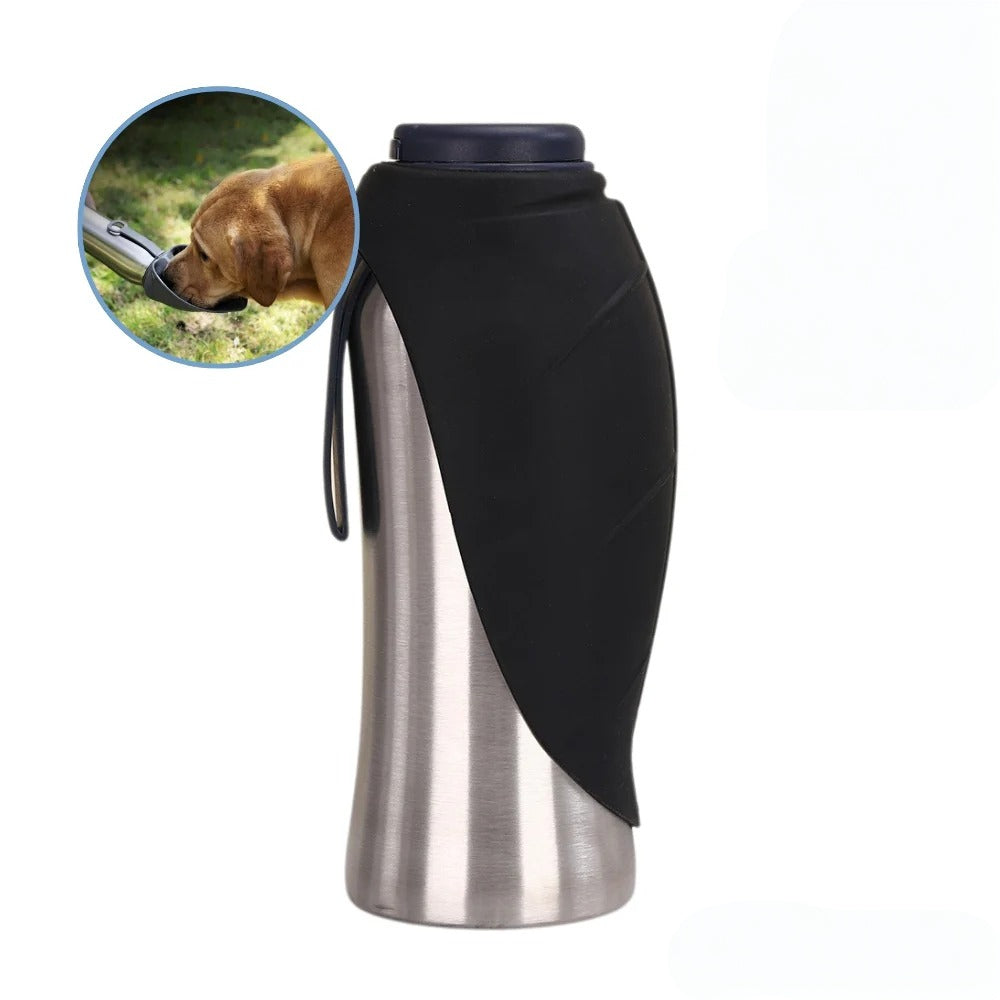 Insulated Stainless Steel Water Bottle for Dogs - Portable Hydration