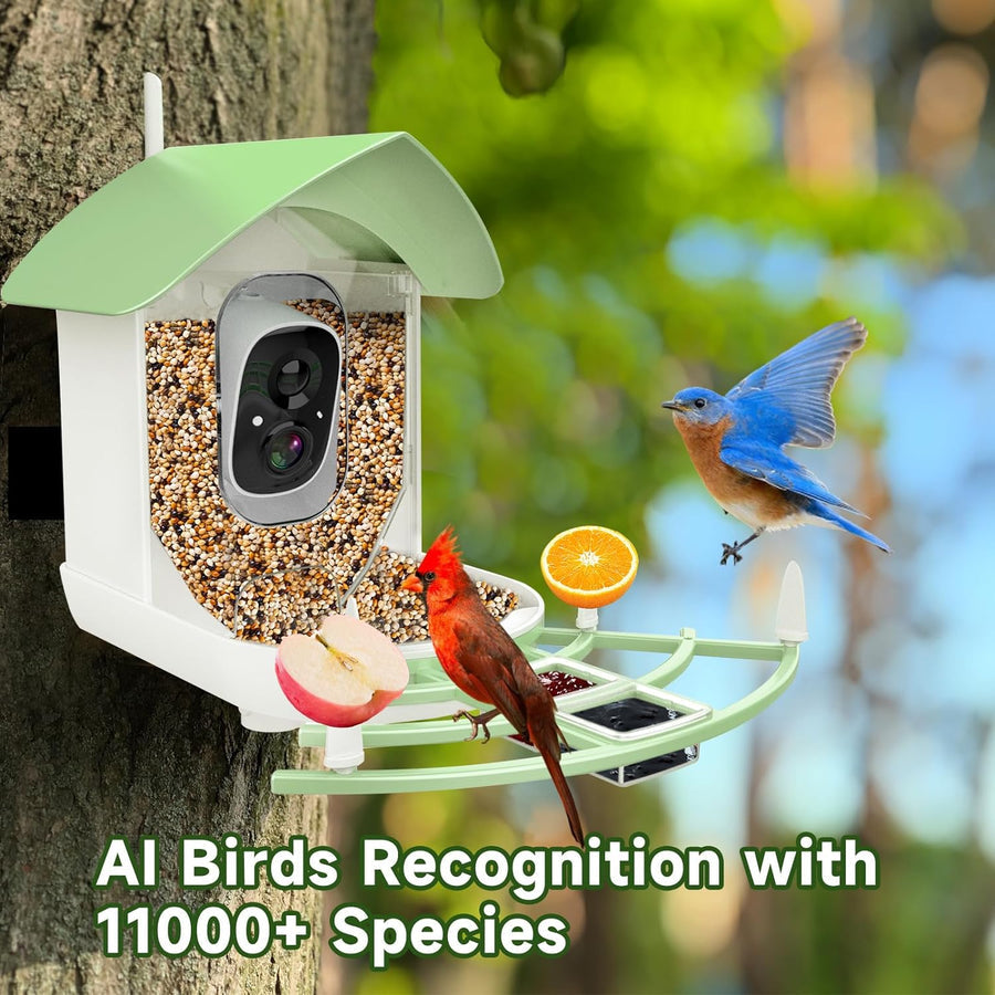 AvianVision Smart Feeder Camera with Solar Power & AI Detection