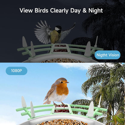 AvianVision Smart Feeder Camera with Solar Power & AI Detection