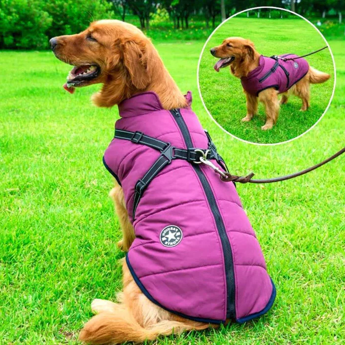 CozyPaws Waterproof Winter Dog Coat with Integrated Harness