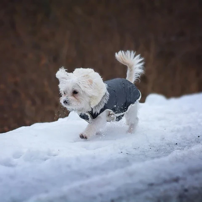 CozyPaws Waterproof Winter Dog Coat with Integrated Harness