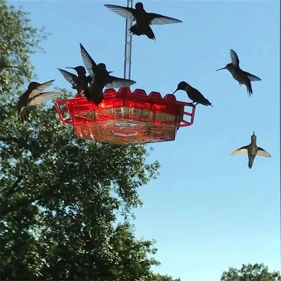 Nature's Delight Ant-Guard Hummingbird Feeder