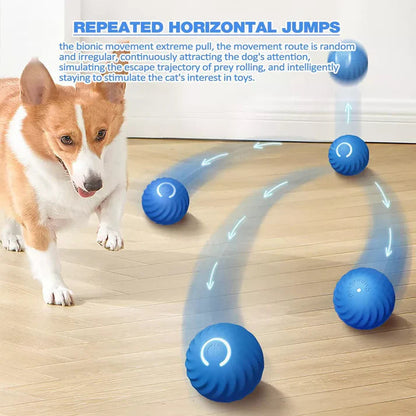 PetJoy Motion Ball: Stress Relief and Play for Everyone