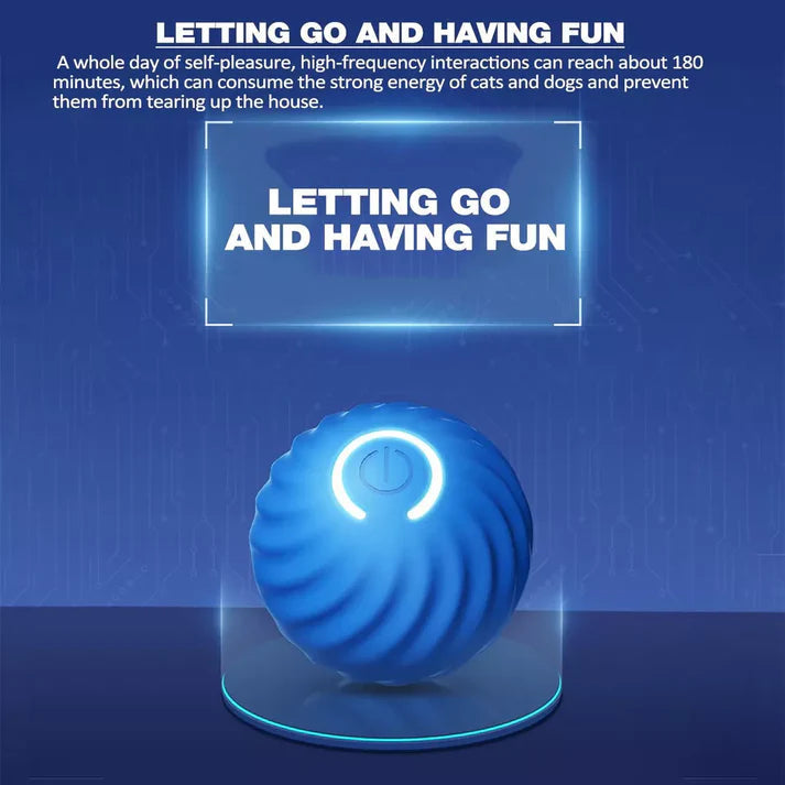 PetJoy Motion Ball: Stress Relief and Play for Everyone