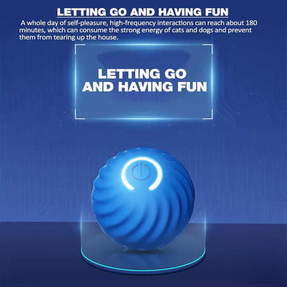 PetJoy Motion Ball: Stress Relief and Play for Everyone