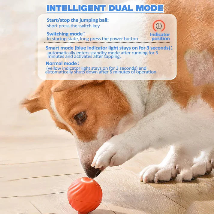 PetJoy Motion Ball: Stress Relief and Play for Everyone