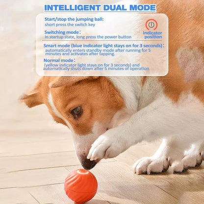 PetJoy Motion Ball: Stress Relief and Play for Everyone