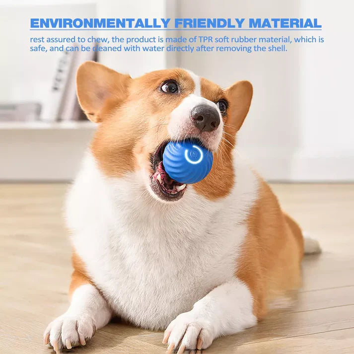 PetJoy Motion Ball: Stress Relief and Play for Everyone