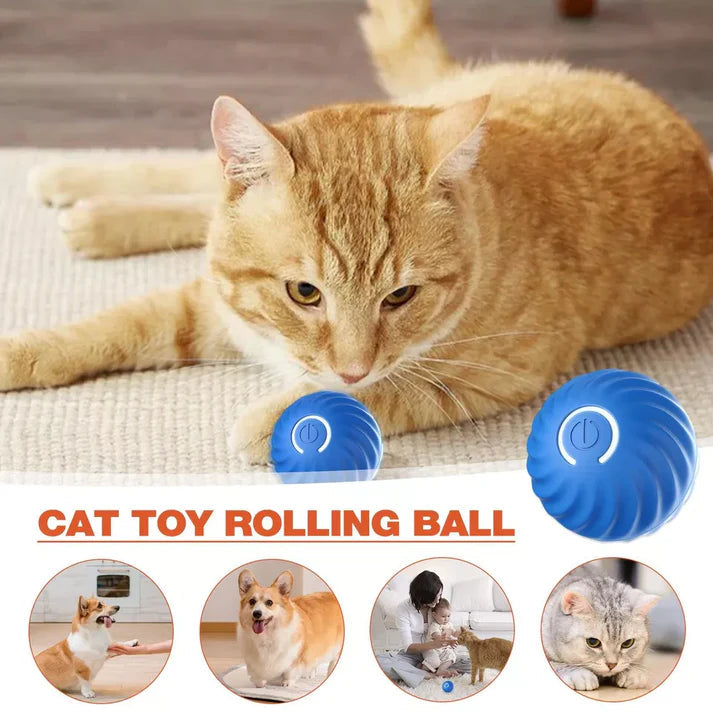 PetJoy Motion Ball: Stress Relief and Play for Everyone