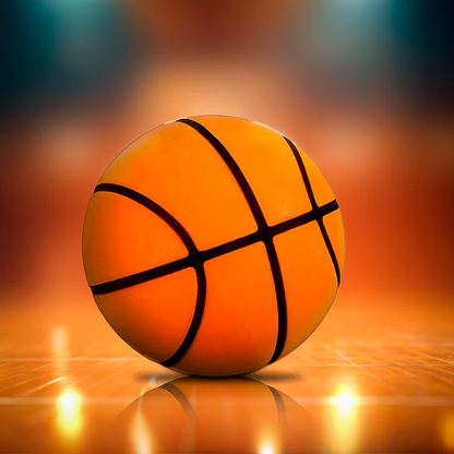 Quiet Practice Basketball for Home Training Sessions
