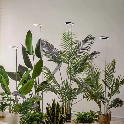 Lumosphere Indoor Plant Growth Lamp – Full Spectrum LED