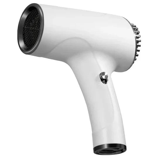 Portable Hair Dryer with High-Speed Brushless Technology