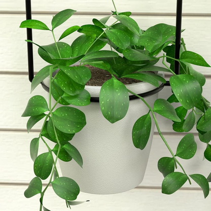 Unique Garden Hanging Plant Holders
